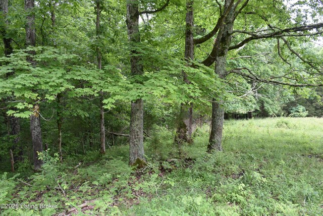 0000 Bridgeport Rd, Edmonton, KY 42129 - photo 15