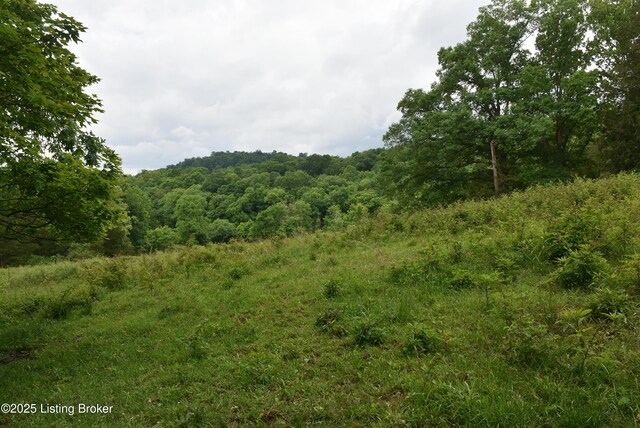 0000 Bridgeport Rd, Edmonton, KY 42129 - photo 16