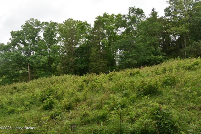 0000 Bridgeport Rd, Edmonton, KY 42129 - photo 17