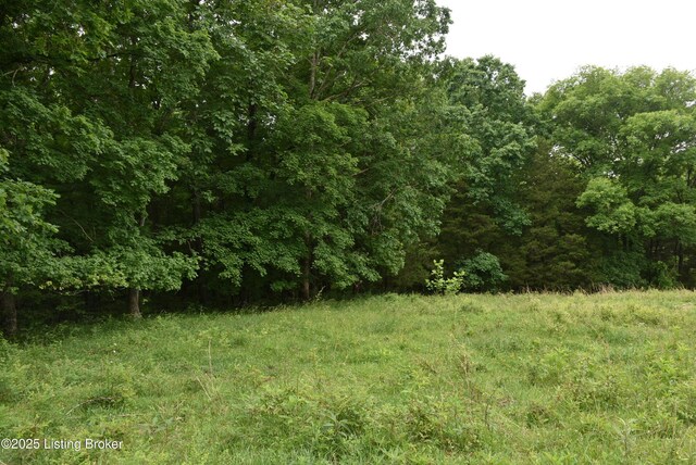 0000 Bridgeport Rd, Edmonton, KY 42129 - photo 18