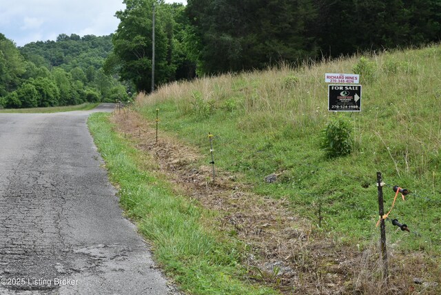 0000 Bridgeport Rd, Edmonton, KY 42129 - photo 21