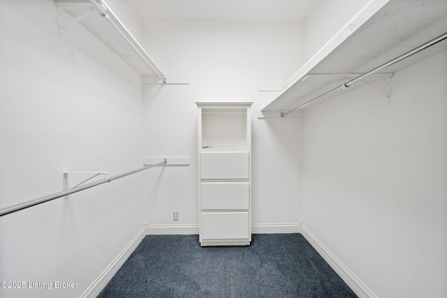 527 Woodlake Dr, Louisville, KY 40245 - walk in closet with dark colored carpet