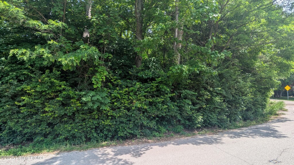 9000/9010 Lakewood Dr, Louisville, KY 40272 - photo 2