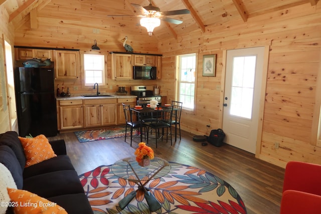 255 Little Cabin Ln, Falls Of Rough, KY 40119 - living area with wooden walls, dark wood-style flooring, healthy amount of natural light, and ceiling fan