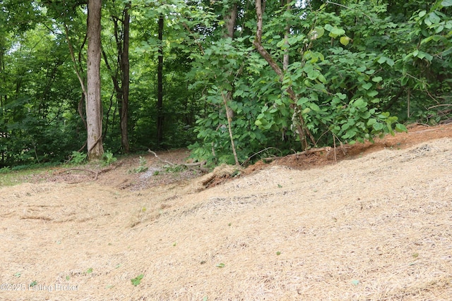255 Little Cabin Ln, Falls Of Rough, KY 40119 - view of undeveloped land