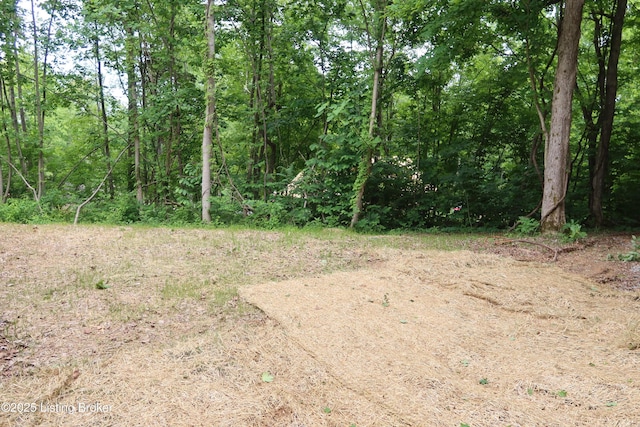 255 Little Cabin Ln, Falls Of Rough, KY 40119 - view of undeveloped land