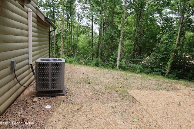 255 Little Cabin Ln, Falls Of Rough, KY 40119 - view of yard with central AC unit