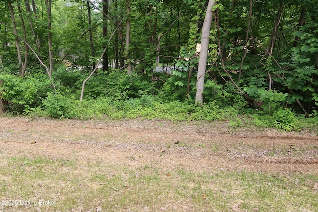 255 Little Cabin Ln, Falls Of Rough, KY 40119 - view of nature