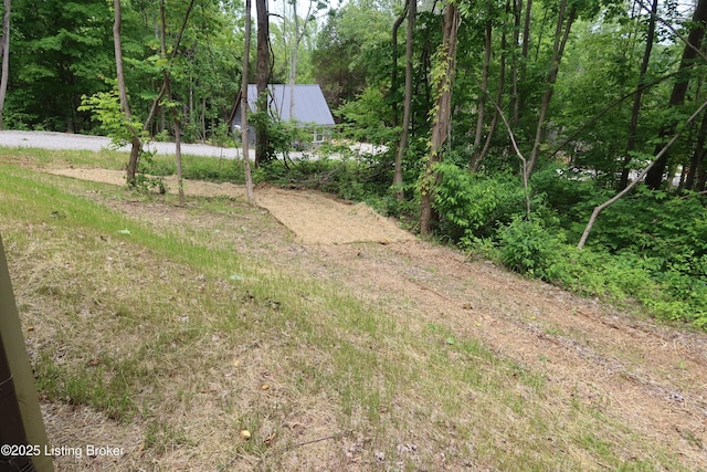 255 Little Cabin Ln, Falls Of Rough, KY 40119 - view of yard