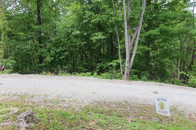 255 Little Cabin Ln, Falls Of Rough, KY 40119 - view of dirt / gravel road