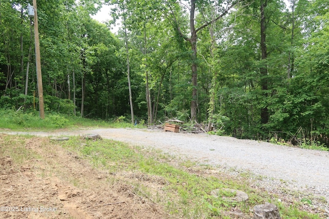 255 Little Cabin Ln, Falls Of Rough, KY 40119 - view of street featuring a view of trees
