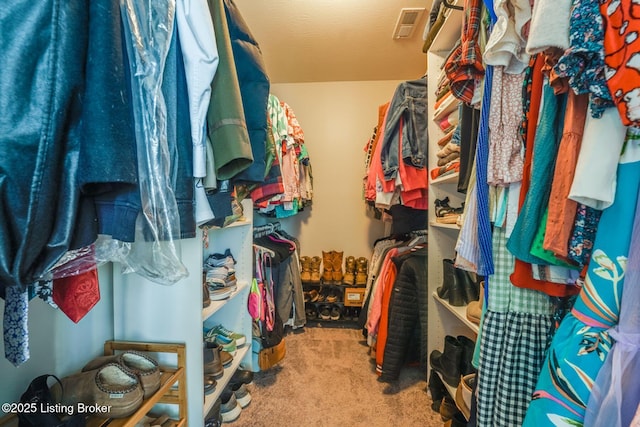 108 Ruby Farm Dr, Mt Washington, KY 40047 - spacious closet featuring carpet flooring