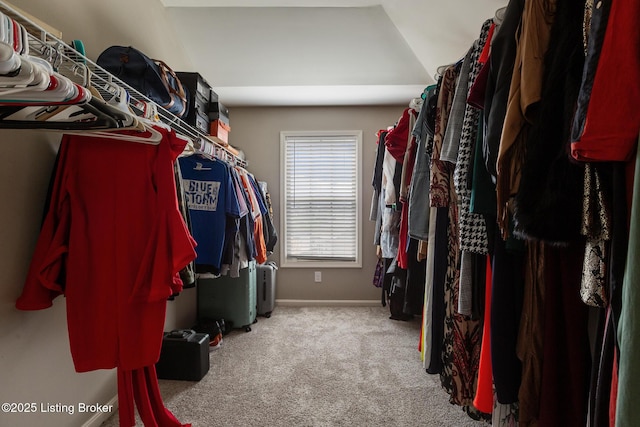6803 Park Vista Way, Louisville, KY 40229 - walk in closet with carpet
