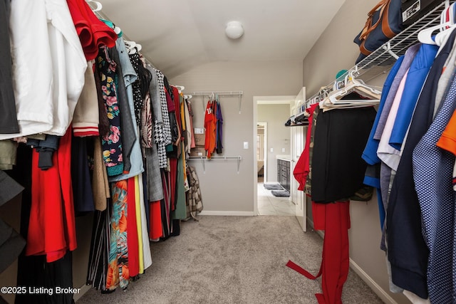 6803 Park Vista Way, Louisville, KY 40229 - spacious closet with lofted ceiling and carpet flooring