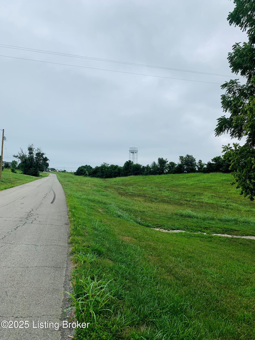 LOT1D Camp Branch Trl, Taylorsville, KY 40071 - photo 3