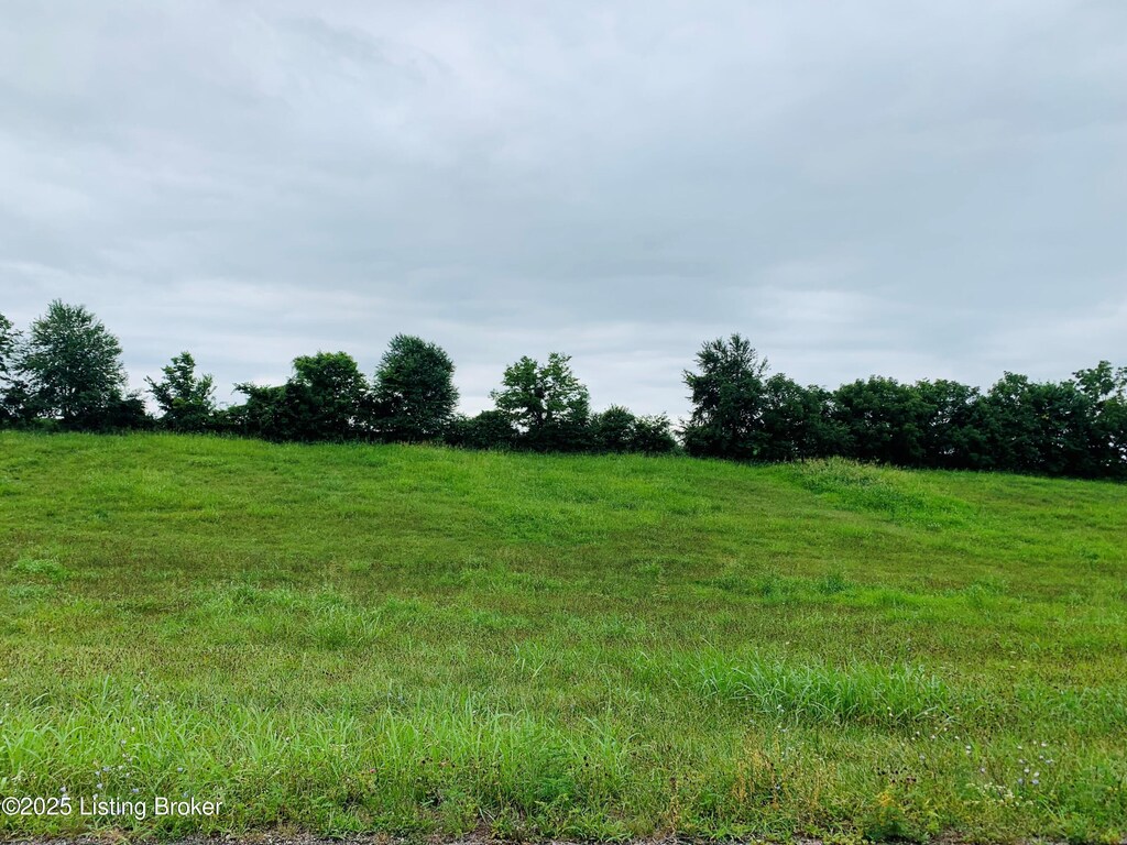 LOT1D Camp Branch Trl, Taylorsville, KY 40071 - photo 2