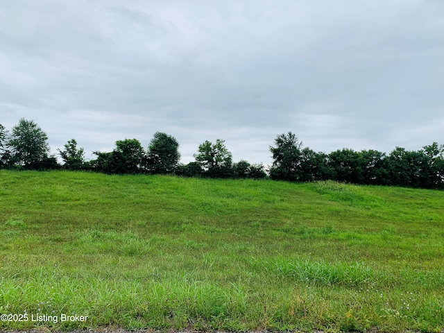 LOT1D Camp Branch Trl, Taylorsville, KY 40071 - photo 2