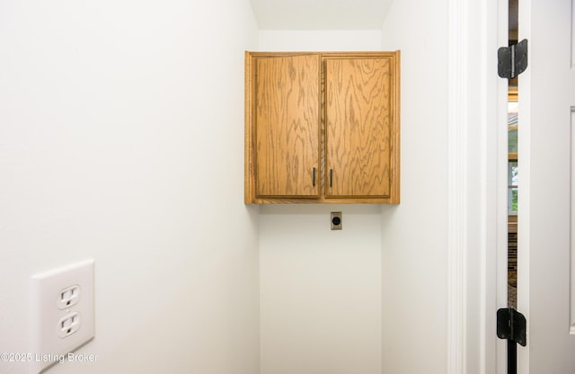 198 Cecilia Smiths Mill Rd, Cecilia, KY 42724 - laundry area with cabinet space