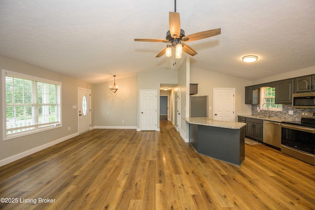 198 Cecilia Smiths Mill Rd, Cecilia, KY 42724 - kitchen featuring appliances with stainless steel finishes, vaulted ceiling, a chandelier, wood finished floors, and backsplash