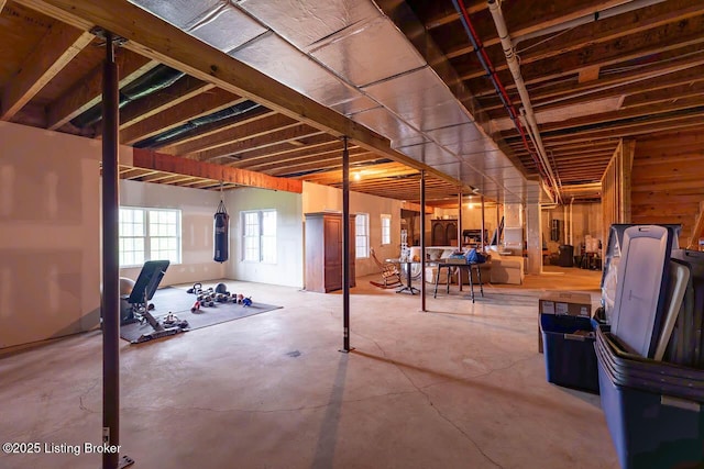 103 Morgan Ct, Bardstown, KY 40004 - view of basement