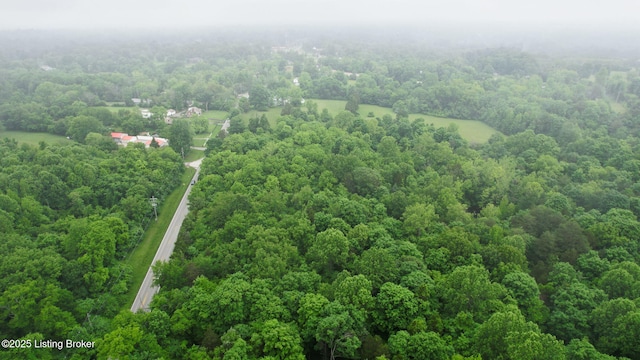 5801 Billtown Rd, Louisville, KY 40299 - photo 57