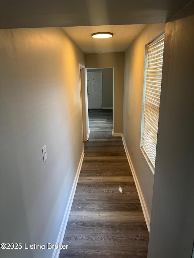 822 S Hancock St, Louisville, KY 40203 - hall with dark wood finished floors and baseboards