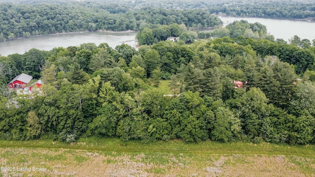 LOT141 High St, Mcdaniels, KY 40152