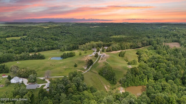 684 Cheslon Rd, Munfordville, KY 42765 - aerial view of property's location with a heavily wooded area and a large body of water