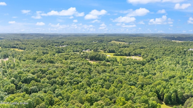 684 Cheslon Rd, Munfordville, KY 42765 - aerial view of a heavily wooded area