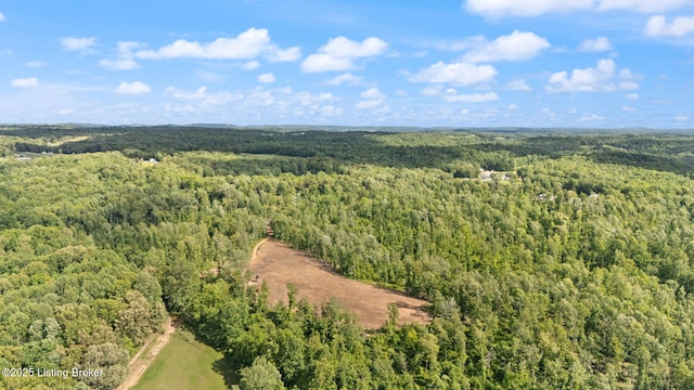 684 Cheslon Rd, Munfordville, KY 42765 - drone / aerial view of a forest
