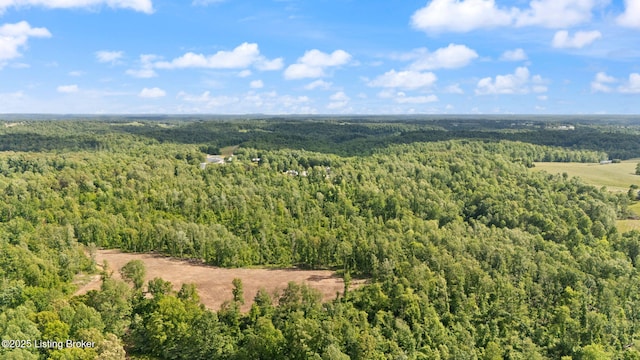 684 Cheslon Rd, Munfordville, KY 42765 - bird's eye view of a heavily wooded area