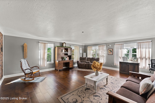 684 Cheslon Rd, Munfordville, KY 42765 - living room with baseboards, dark wood finished floors, and a textured ceiling