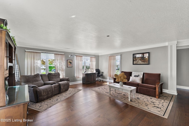 684 Cheslon Rd, Munfordville, KY 42765 - living area with plenty of natural light, a textured ceiling, dark wood-style floors, and baseboards