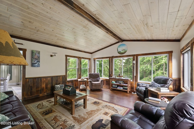 684 Cheslon Rd, Munfordville, KY 42765 - living area with a wainscoted wall, wood finished floors, healthy amount of natural light, wood ceiling, and wooden walls