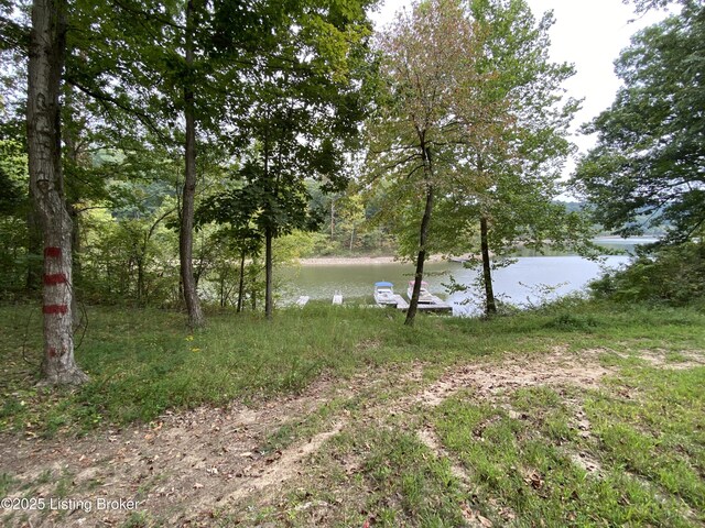 682 Hornback Mill Ln, Leitchfield, KY 42754 - water view