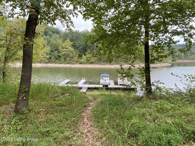 682 Hornback Mill Ln, Leitchfield, KY 42754 - dock area featuring a water view and a wooded view