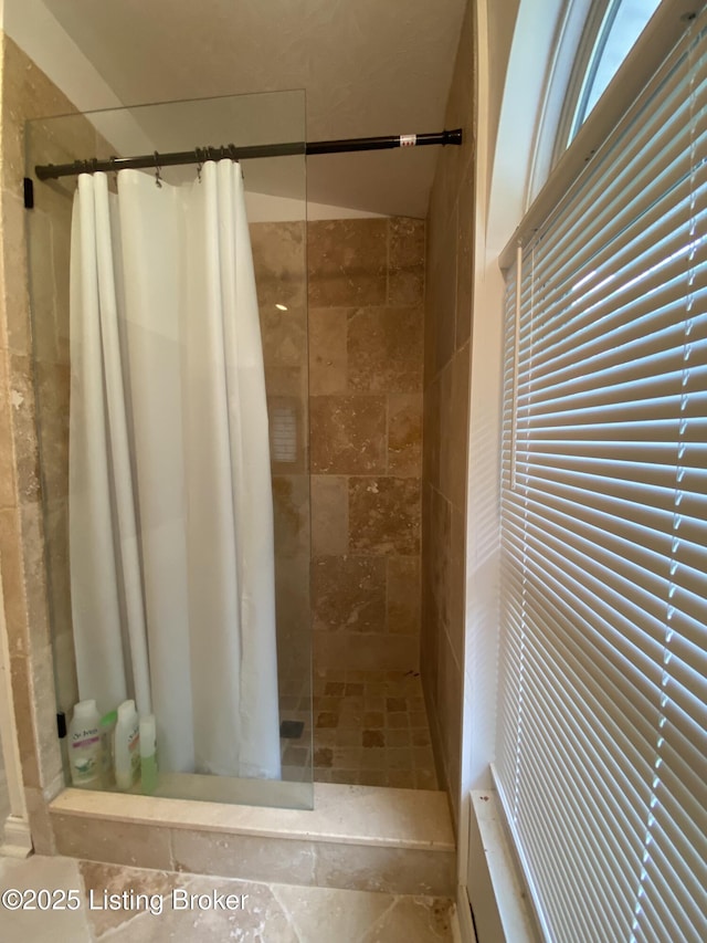 682 Hornback Mill Ln, Leitchfield, KY 42754 - full bathroom featuring tiled shower