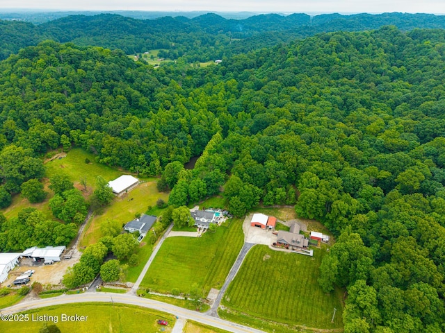4011 Serendipity Ln, Louisville, KY 40272 - aerial view of property and surrounding area with a forest