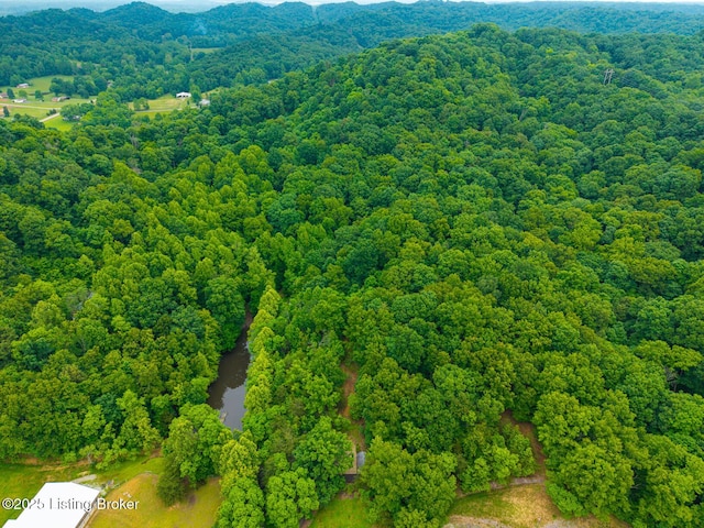 4011 Serendipity Ln, Louisville, KY 40272 - bird's eye view of a forest