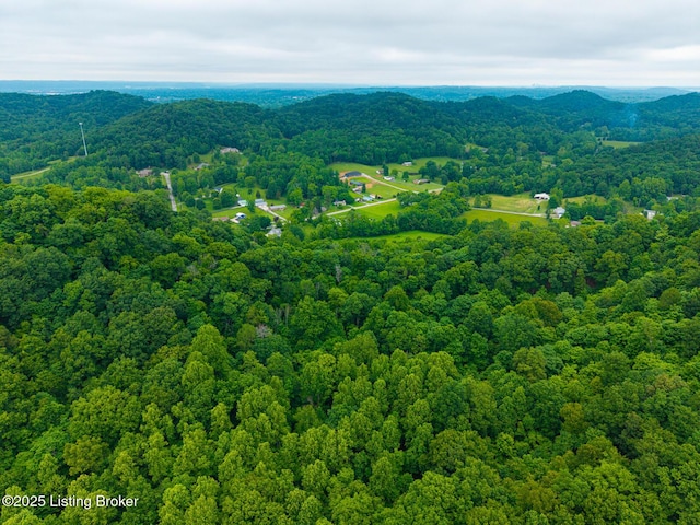 4011 Serendipity Ln, Louisville, KY 40272 - aerial view of a heavily wooded area