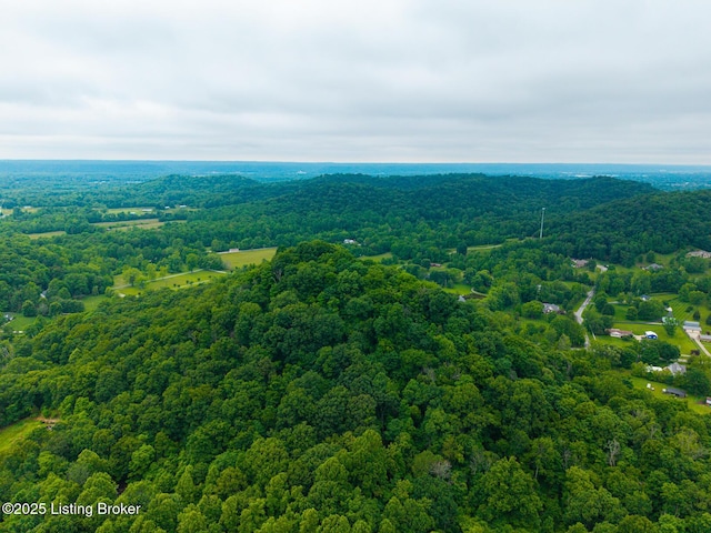 4011 Serendipity Ln, Louisville, KY 40272 - aerial view of a heavily wooded area