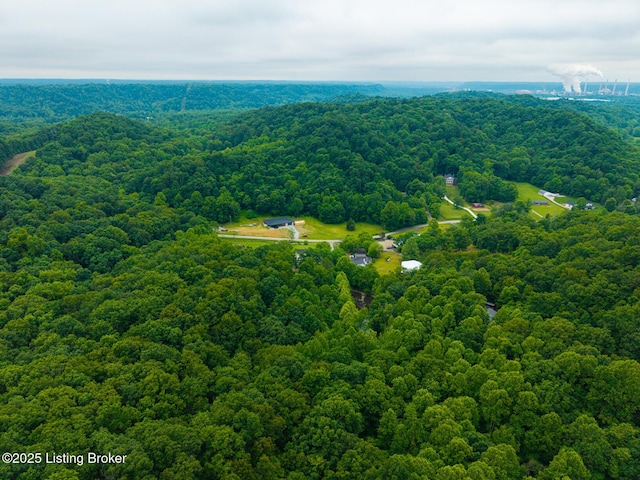 4011 Serendipity Ln, Louisville, KY 40272 - aerial view of a heavily wooded area
