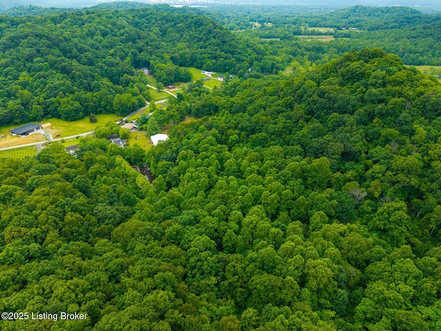 4011 Serendipity Ln, Louisville, KY 40272 - bird's eye view of a forest