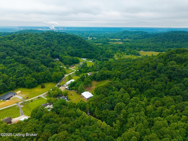 4011 Serendipity Ln, Louisville, KY 40272 - drone / aerial view of a forest