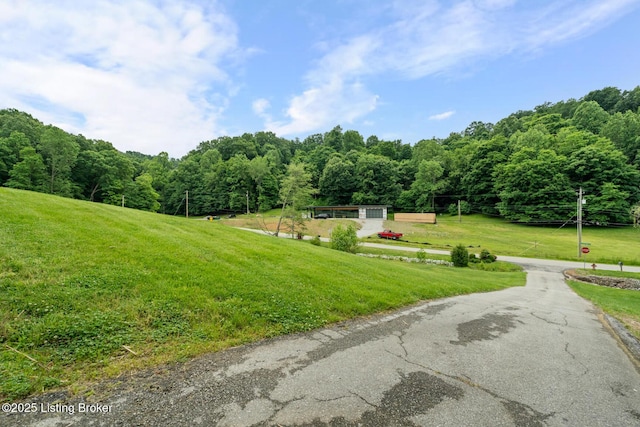 4011 Serendipity Ln, Louisville, KY 40272 - view of street with a wooded view