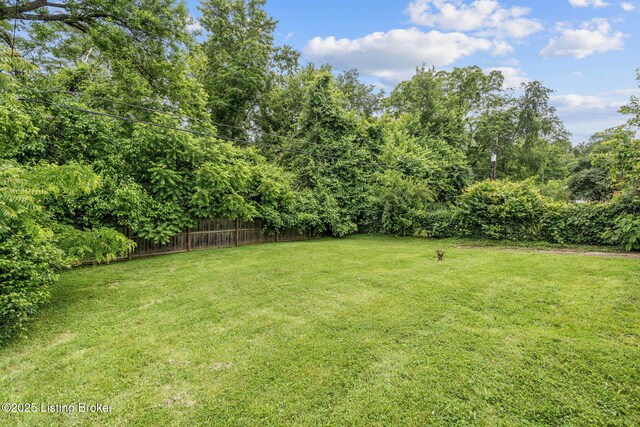 3125 Lynnwood Way, Louisville, KY 40299 - photo 24