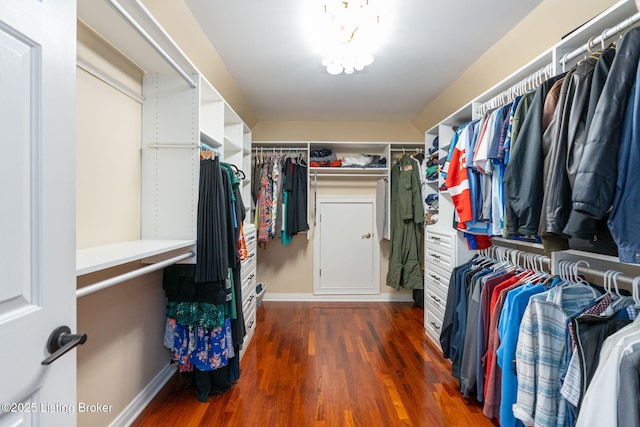 3908 Keal Run Way, Louisville, KY 40241 - walk in closet featuring wood finished floors
