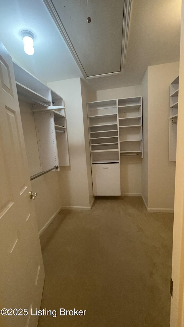 123 Westwind Trl, Bardstown, KY 40004 - spacious closet featuring carpet and attic access