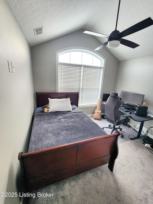 202 Elizabeth Way, Bardstown, KY 40004 - bedroom with carpet, lofted ceiling, a textured ceiling, a desk, and a ceiling fan