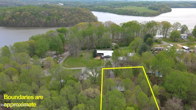 580 Walleye Way, Scottsville, KY 42164 - photo 14